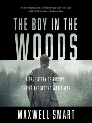cover image of The Boy in the Woods