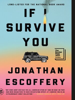 cover image of If I Survive You