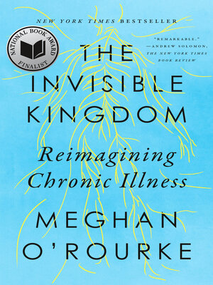 cover image of The Invisible Kingdom